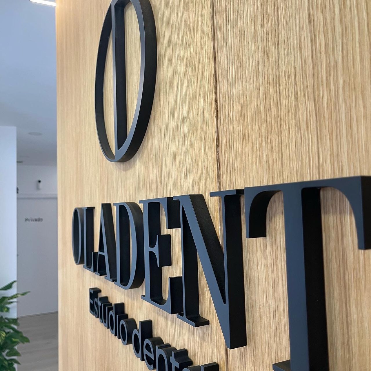 Carolina Olaizola-16