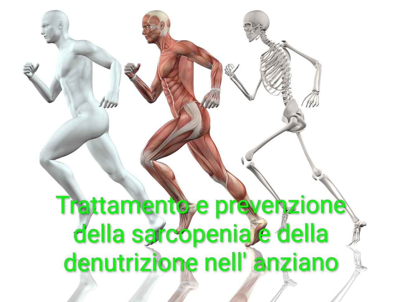 Giuseppe Pruiti Ciarello-6