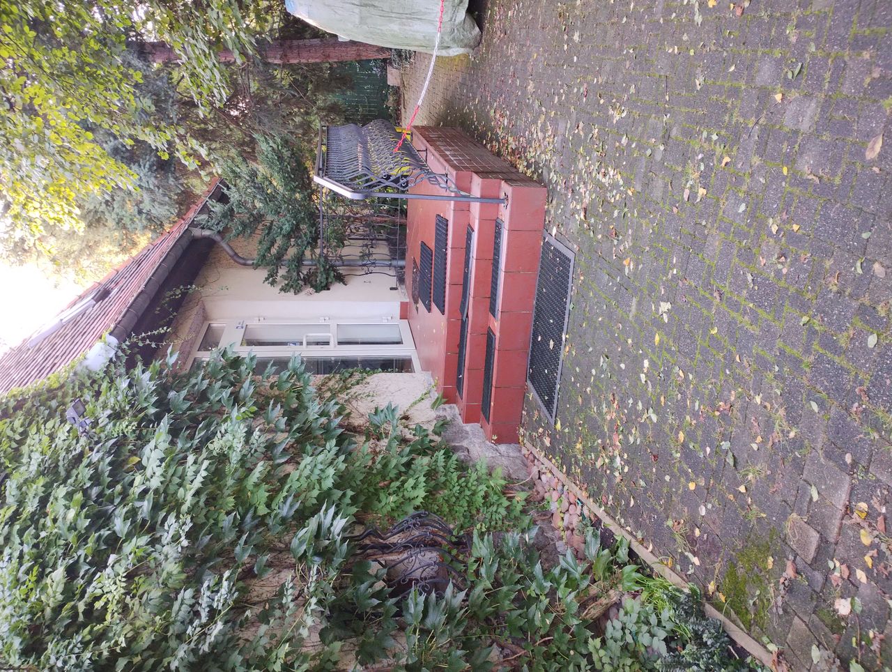 Magdalena Franieczek-1