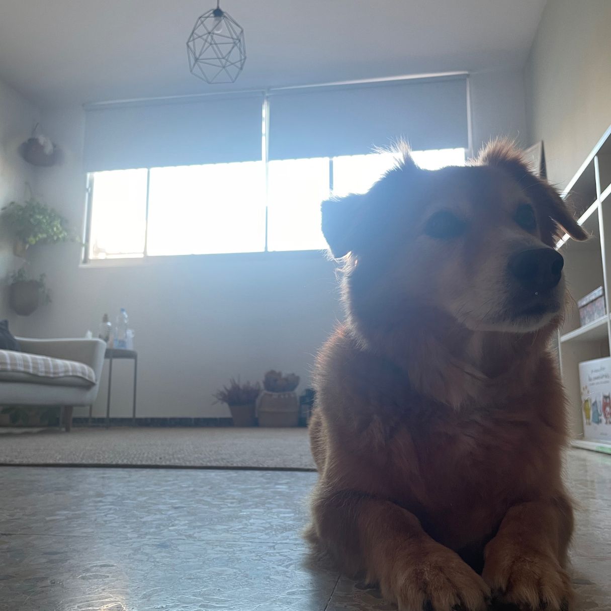 Patricia Gutiérrez Isla-25