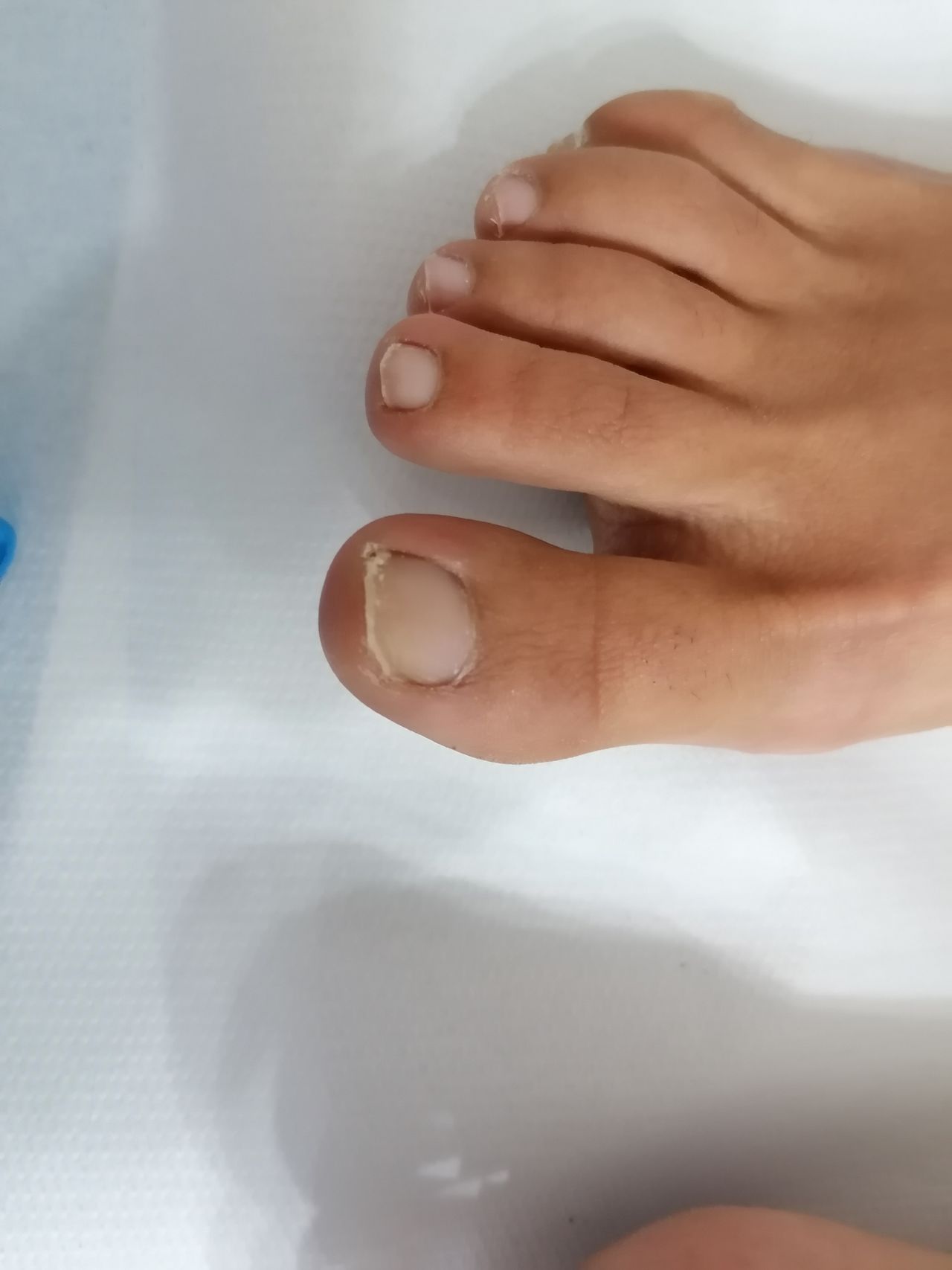 Kassandra Nicolosi-328