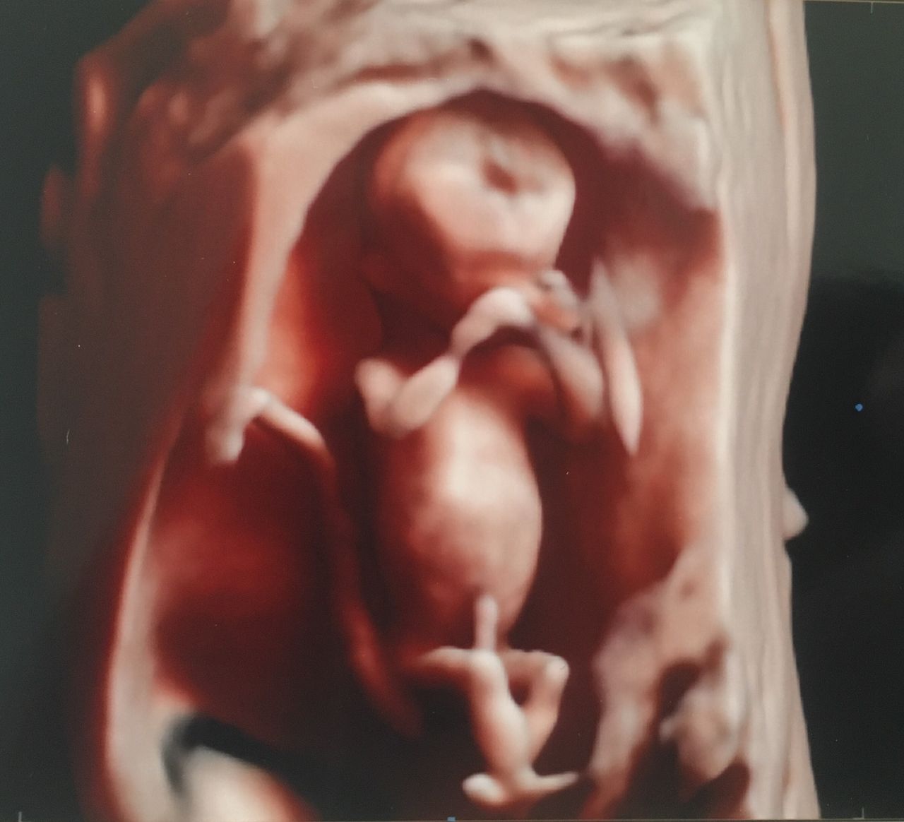 Andrzej Kałamacki-17