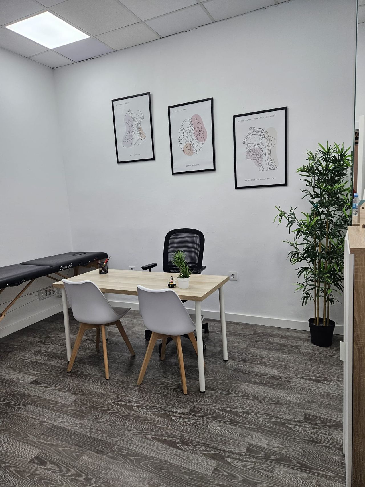 Alejandra Vallejo Errando-0