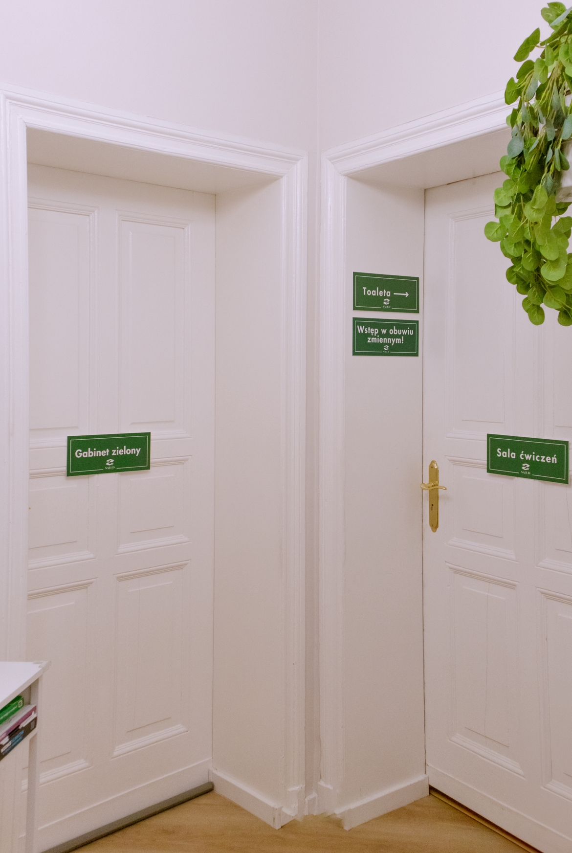 Aleksandra  Pawłowska-8