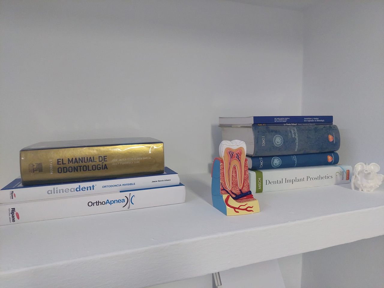 Diana Lanseros Mayoral-8