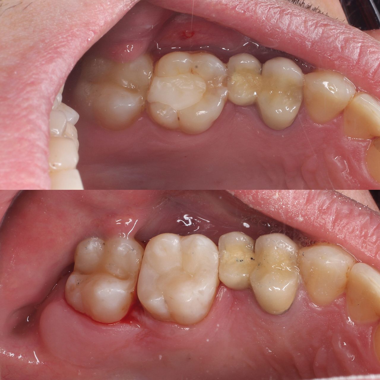 Aleksandra Bobrovskaya-5