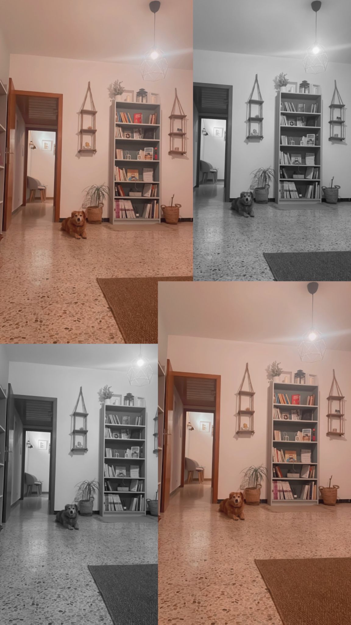 Patricia Gutiérrez Isla-57