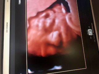 Domenico D'assisi-12