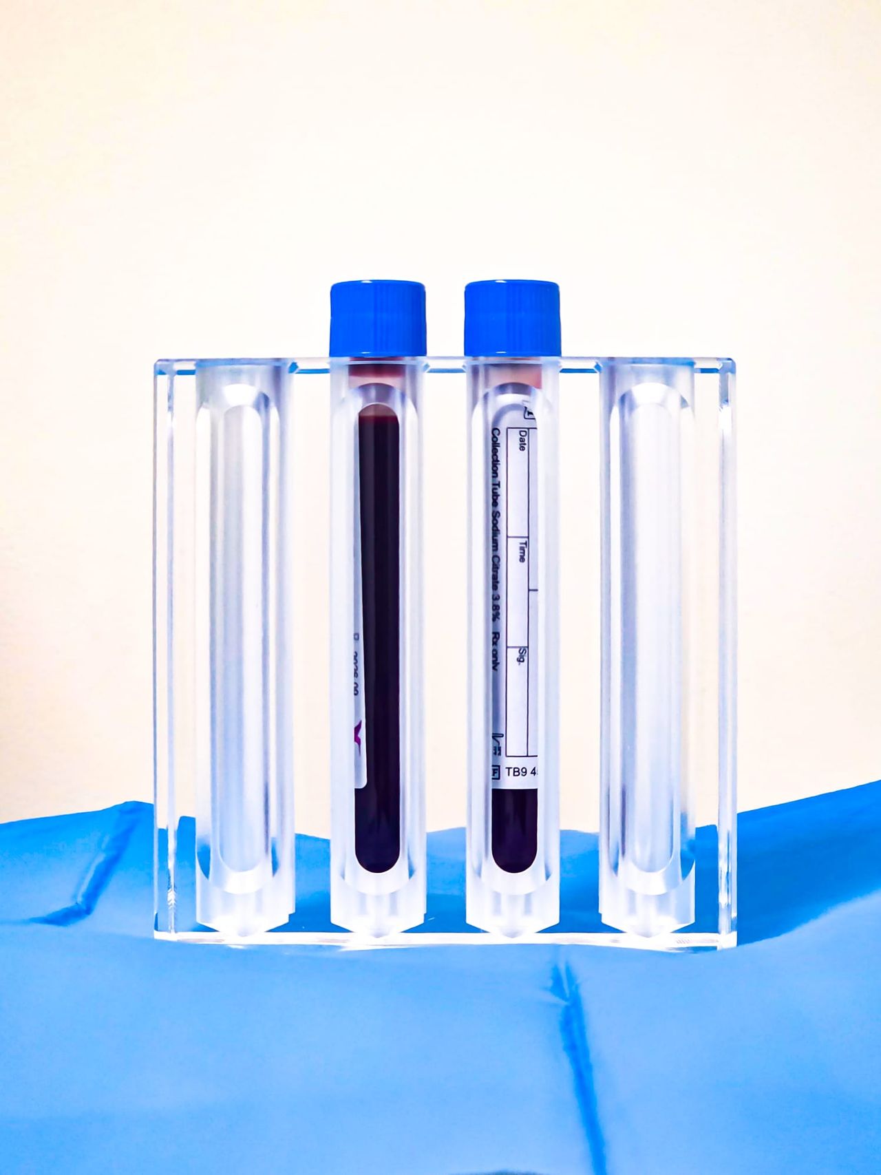 Alejandro San Martin Alvarez-10