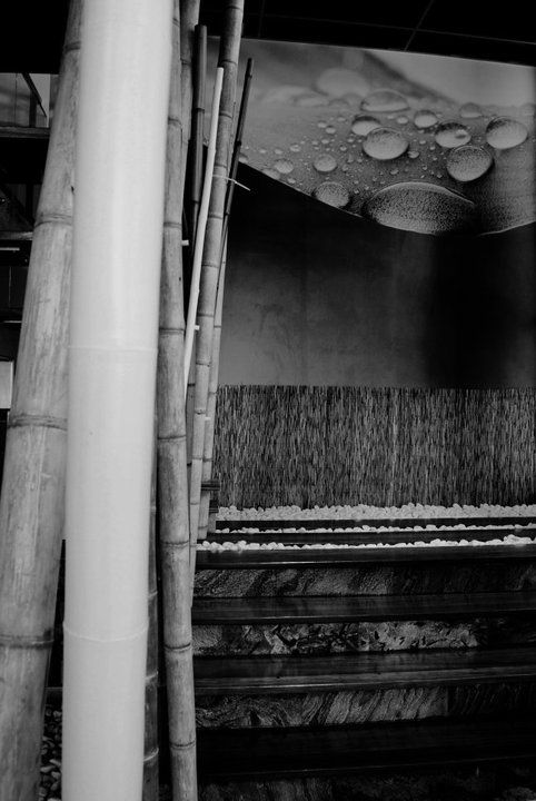 Mikel Camarero Llamosas-17