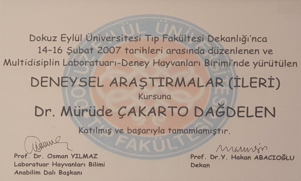 Mürüde Çakartaş Dağdelen-2