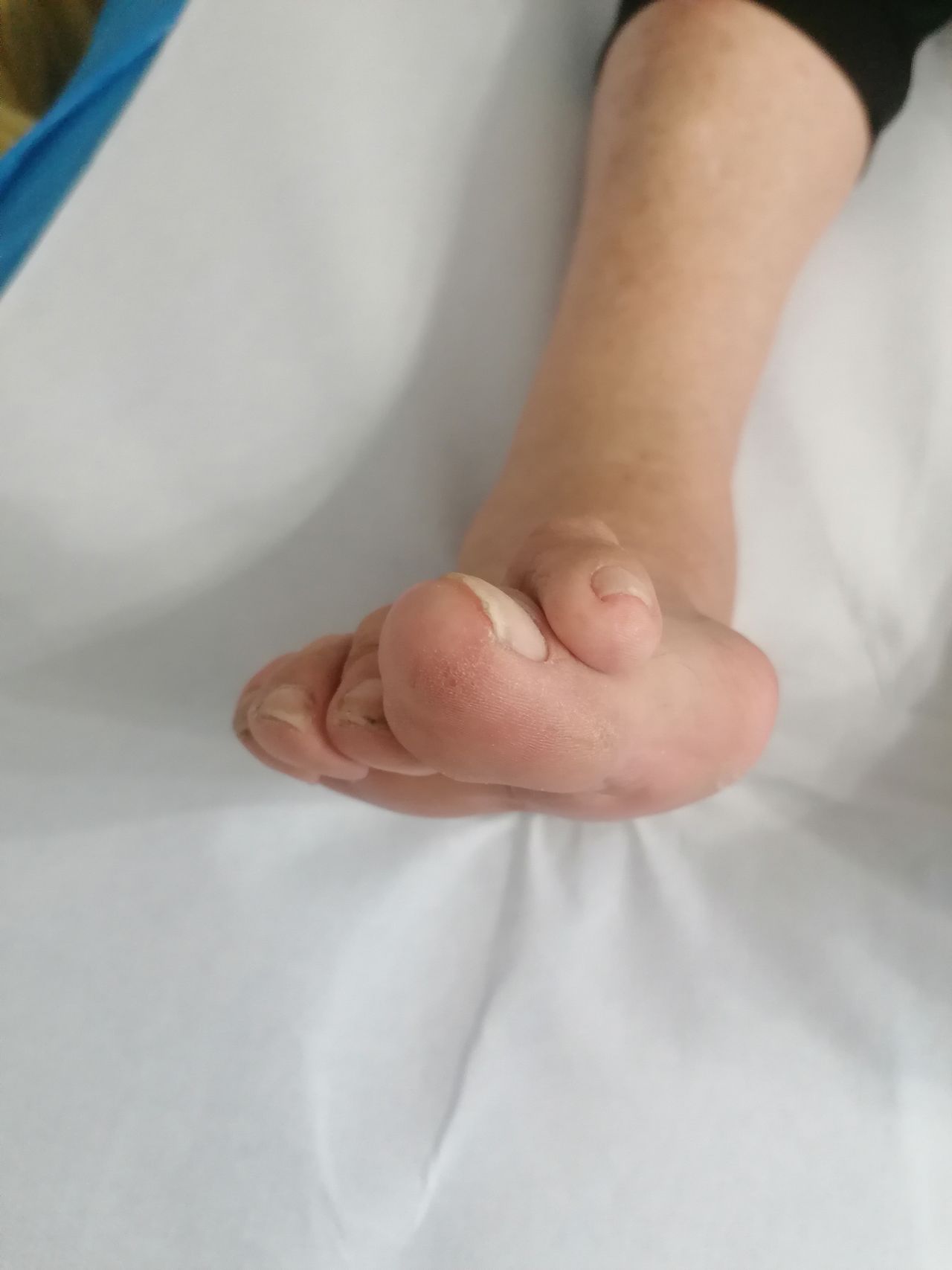 Kassandra Nicolosi-237