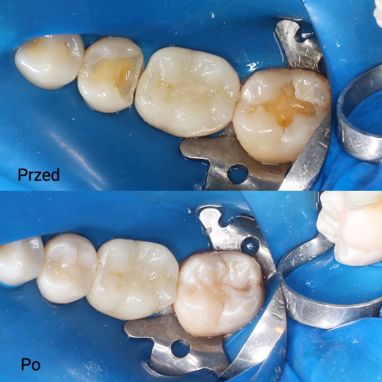 Aleksandra Bobrovskaya-7