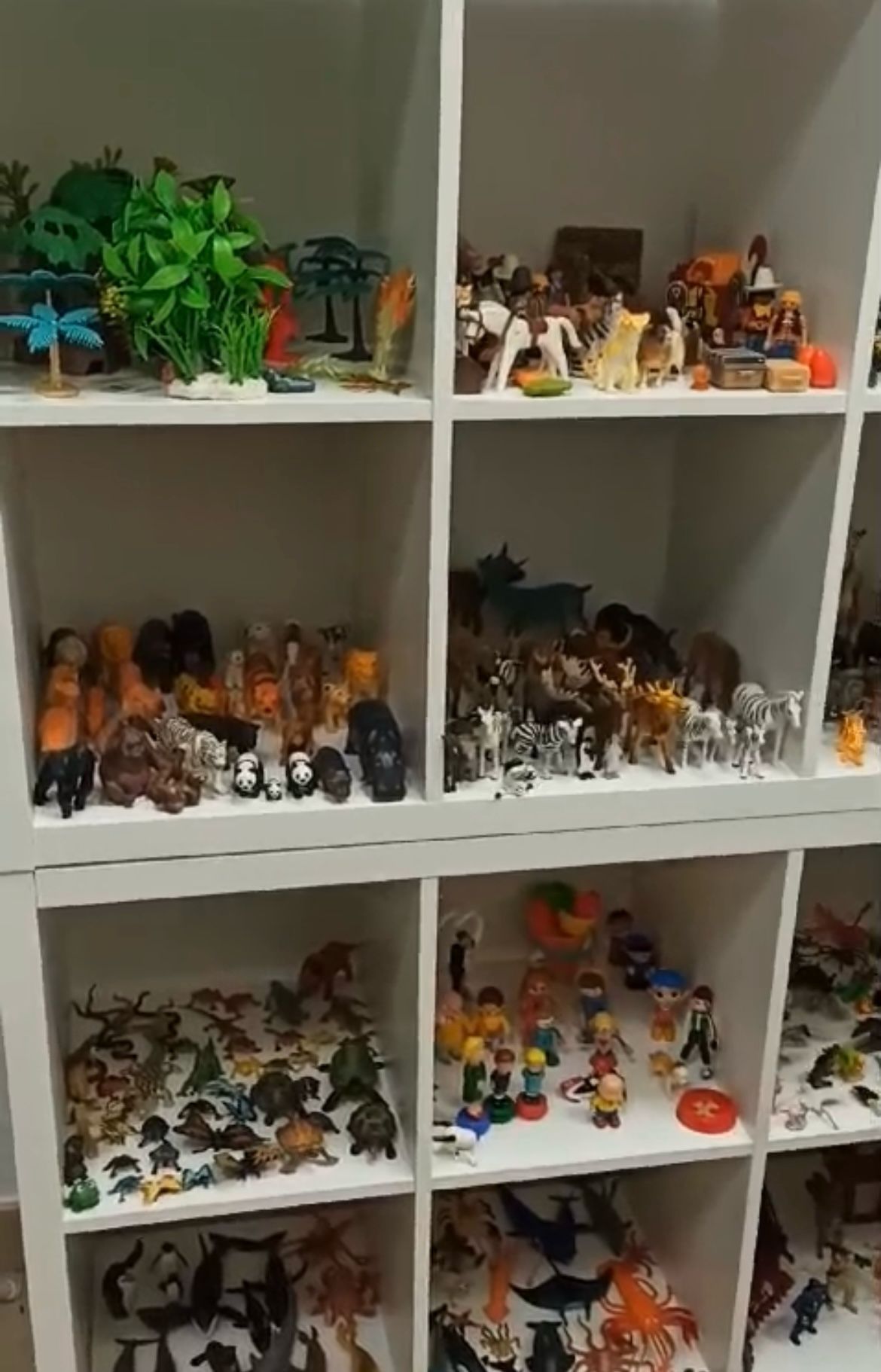 Maria Carmen López-2