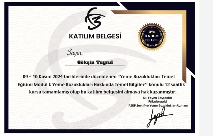 Gökşin Tuğrul-3
