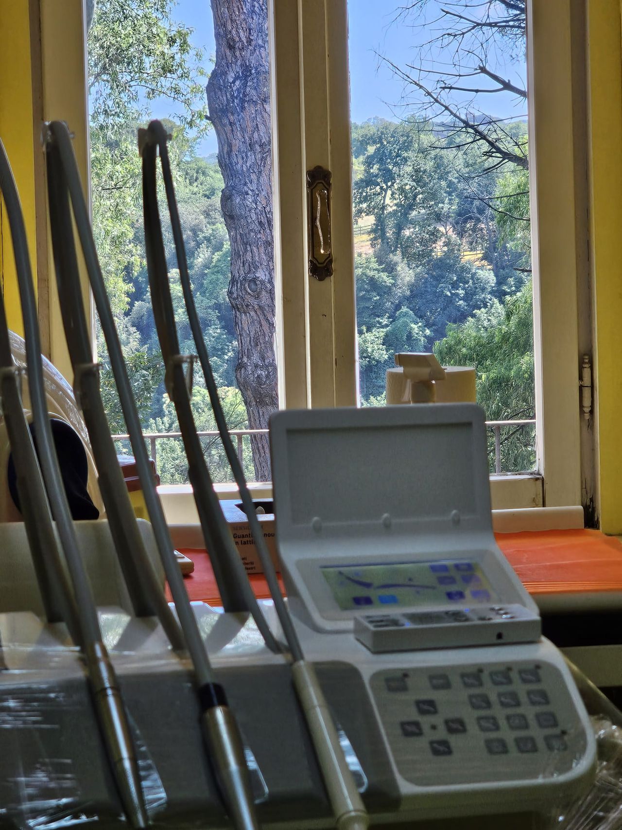 Giselda Di Giacomo-0