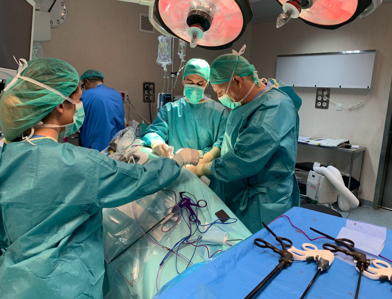 Luis Fernando Susaníbar Napurí-8