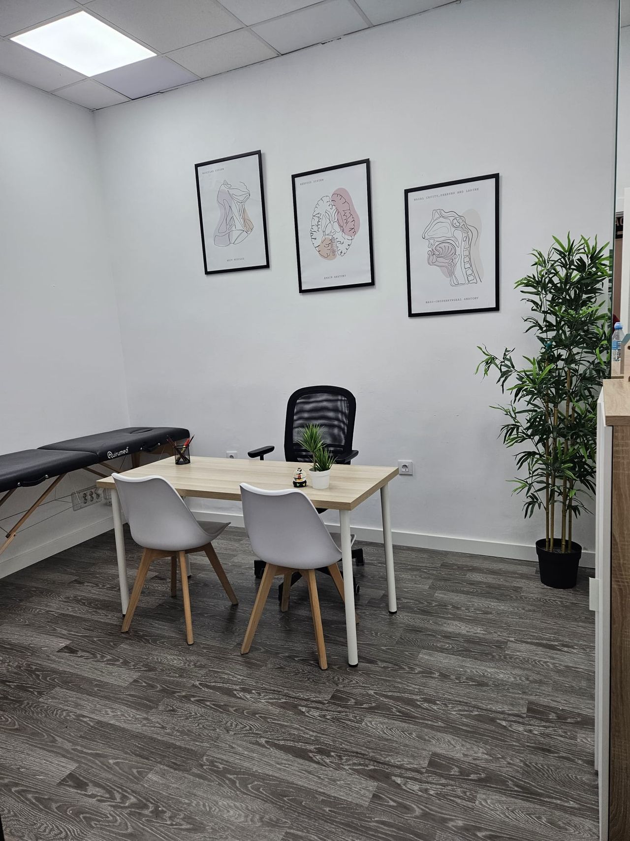 Elisabet Perales Céspedes-3