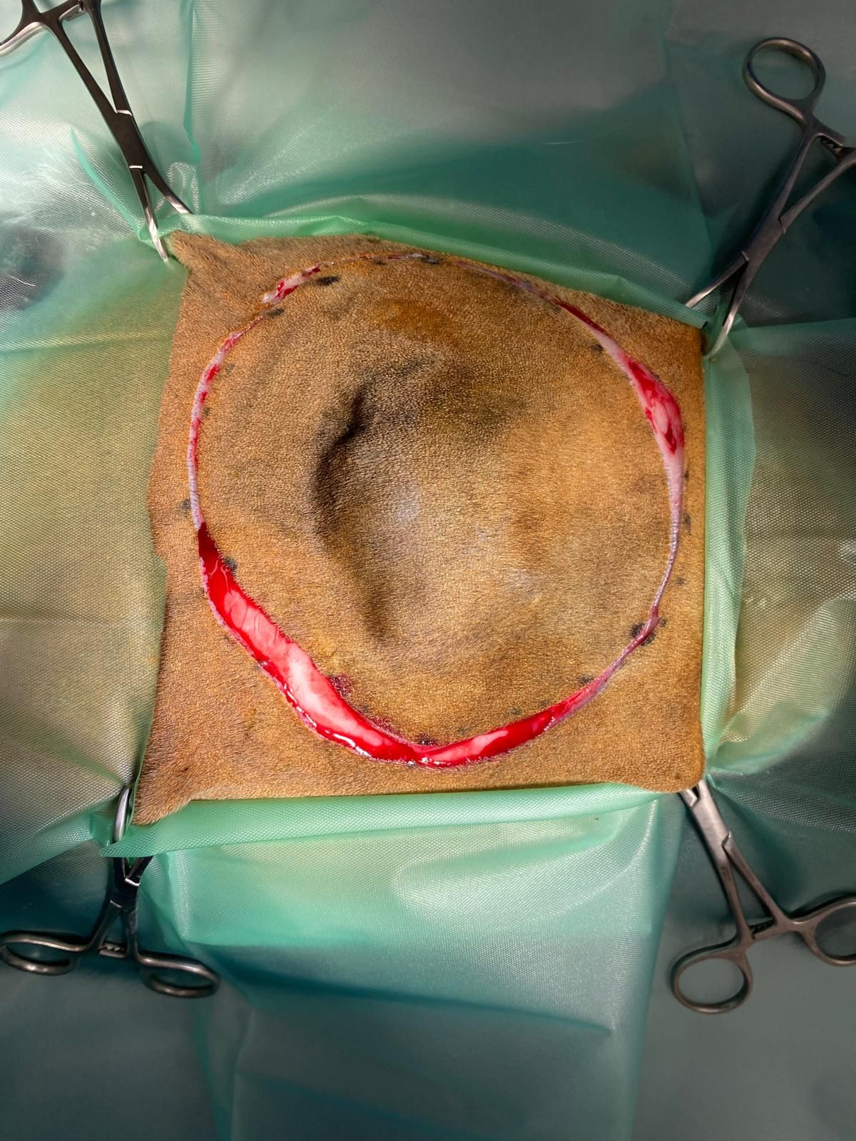 Radosław Fedaczyński-39