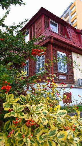 Adrianna Sieradzka-0