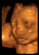 Norbert Stachowicz-15