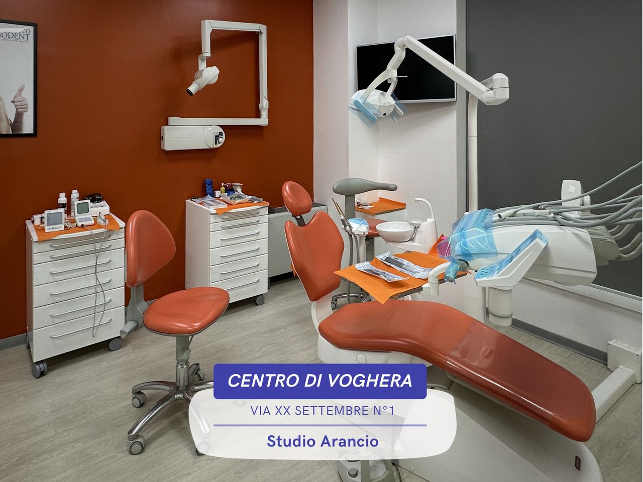 Beatrice Vitaliano-8