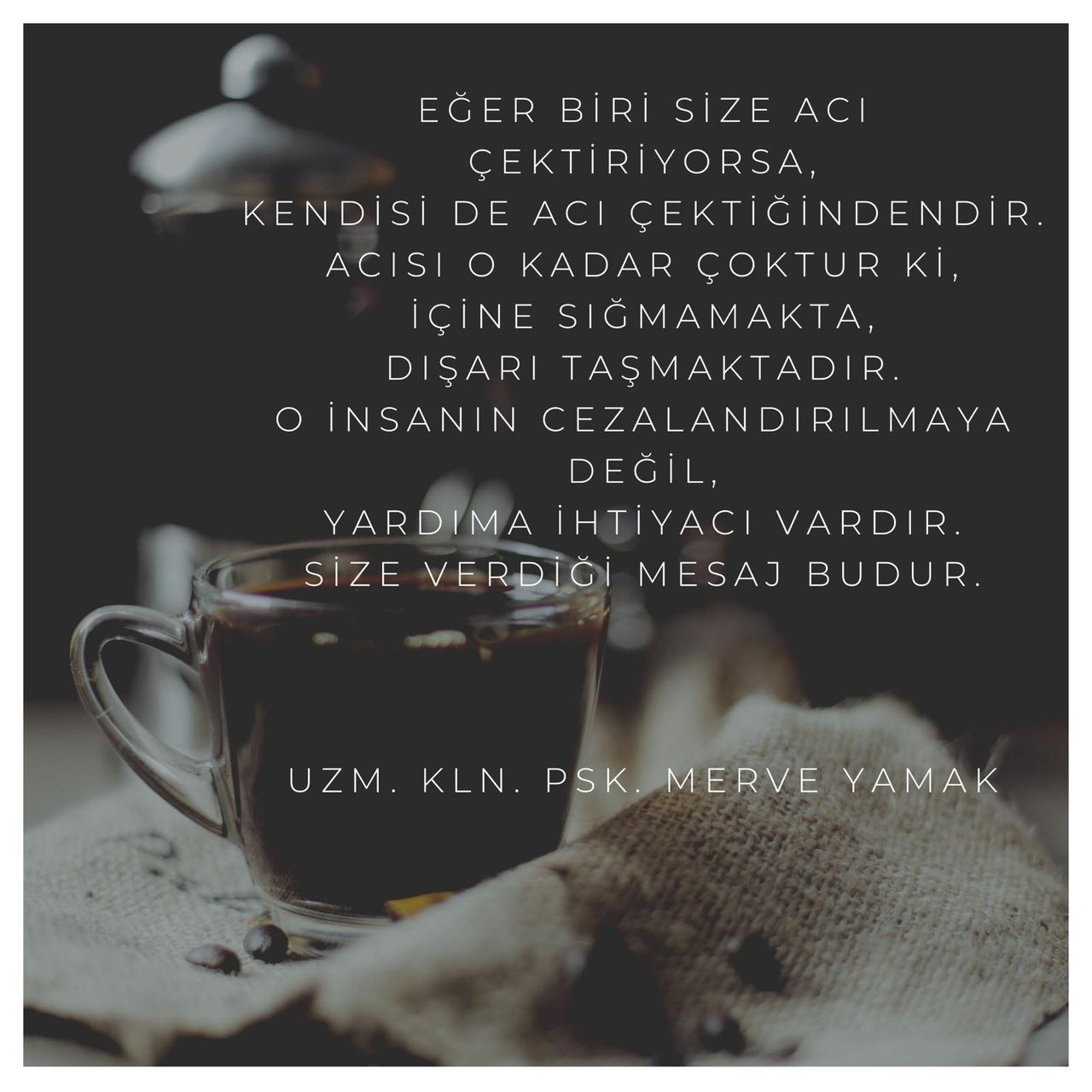 Ayşe Merve Yamak Küçükemirler-5