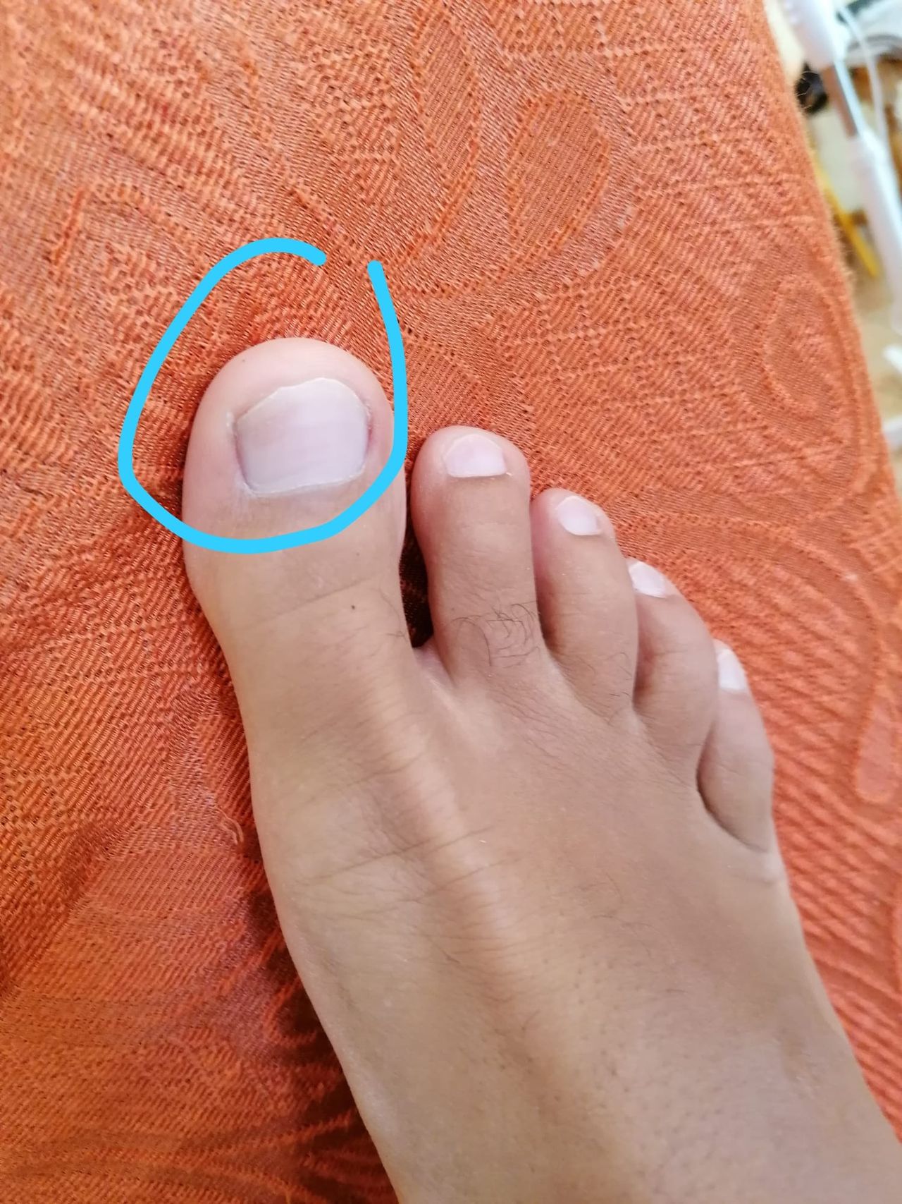 Kassandra Nicolosi-199