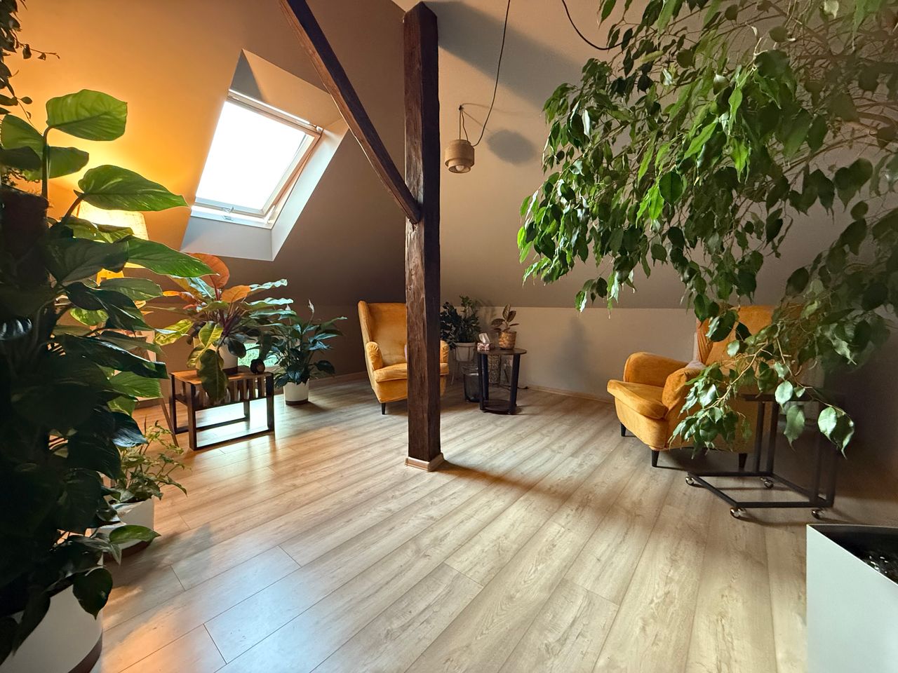 Magdalena Hossadyna-2