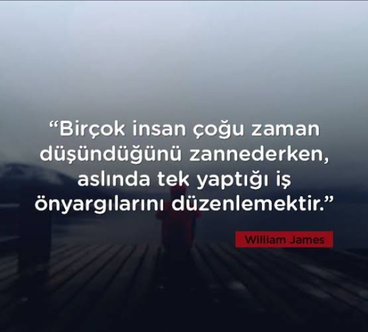 Ayşen Betül Okat-38