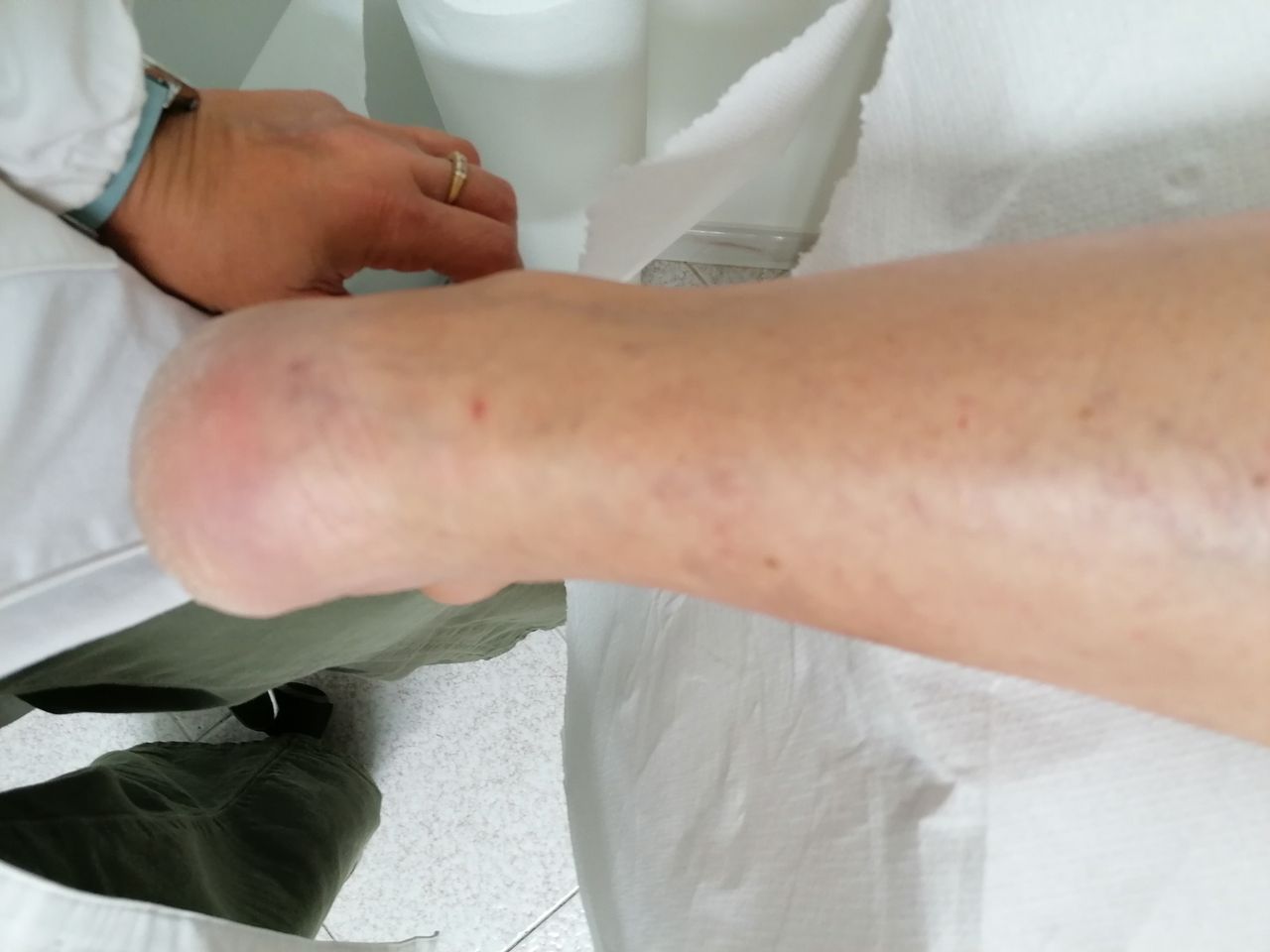 Kassandra Nicolosi-268