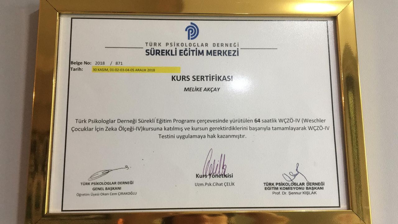 Melike Akçay Yüksel-2