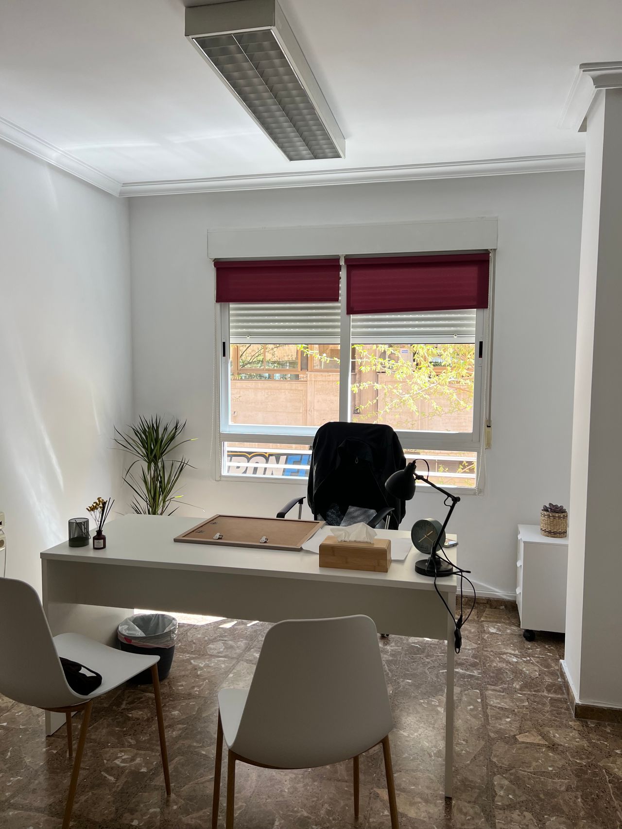 Verónica González González-0