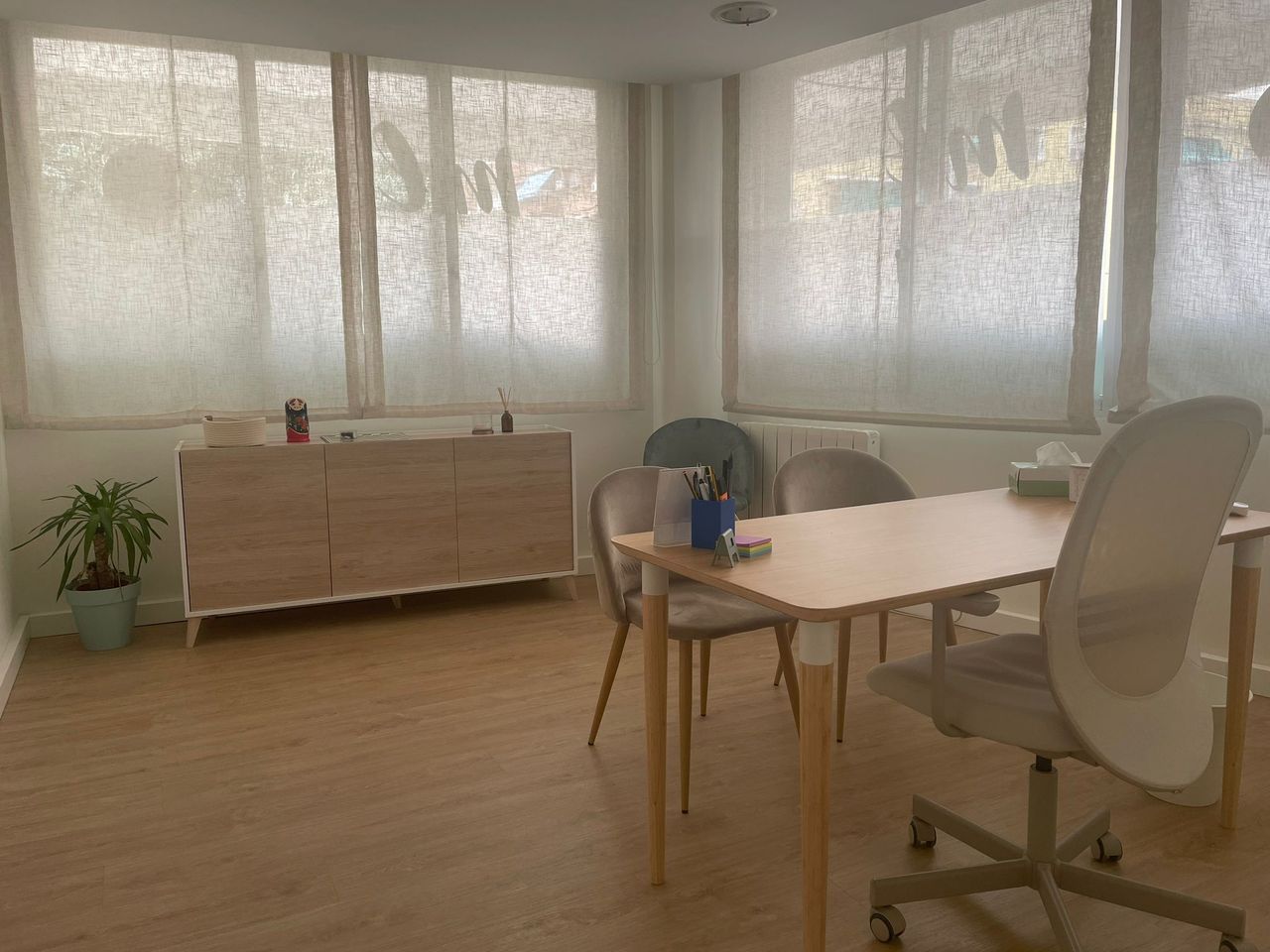 Mª Paz Gonzalez Calero-1