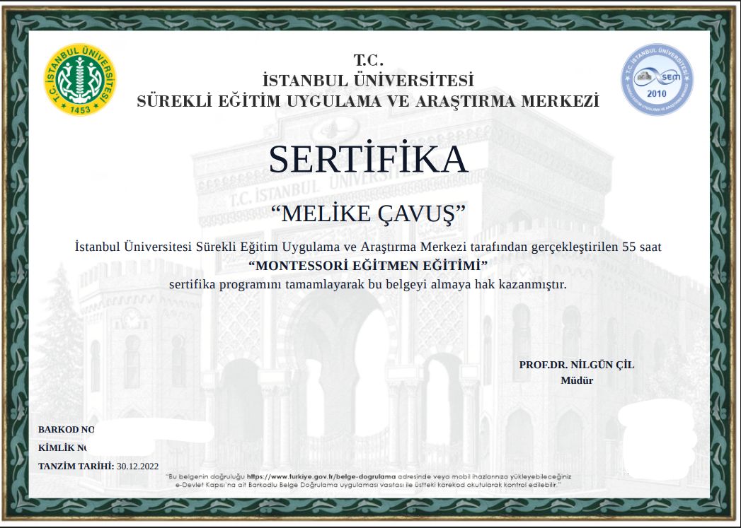 Melike Boylan-8
