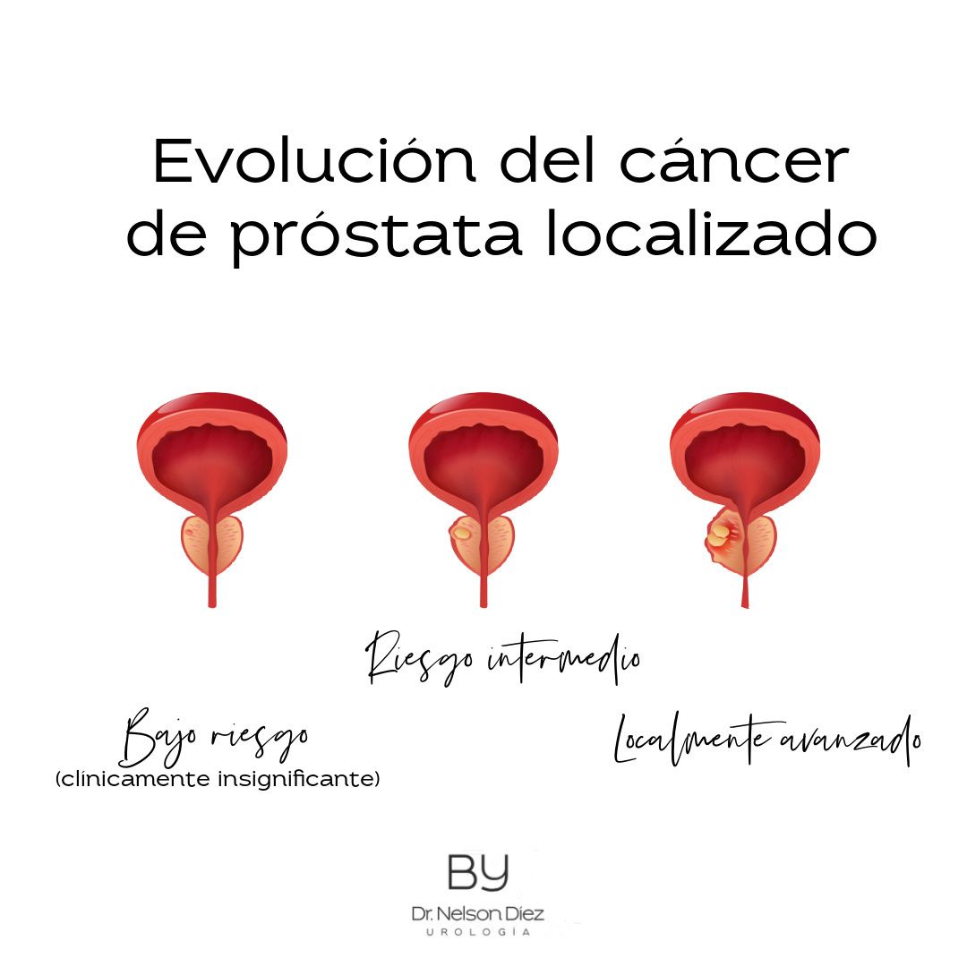 Nelson Diez Calzadilla-7