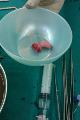 H. Hakan Poyrazoğlu-4