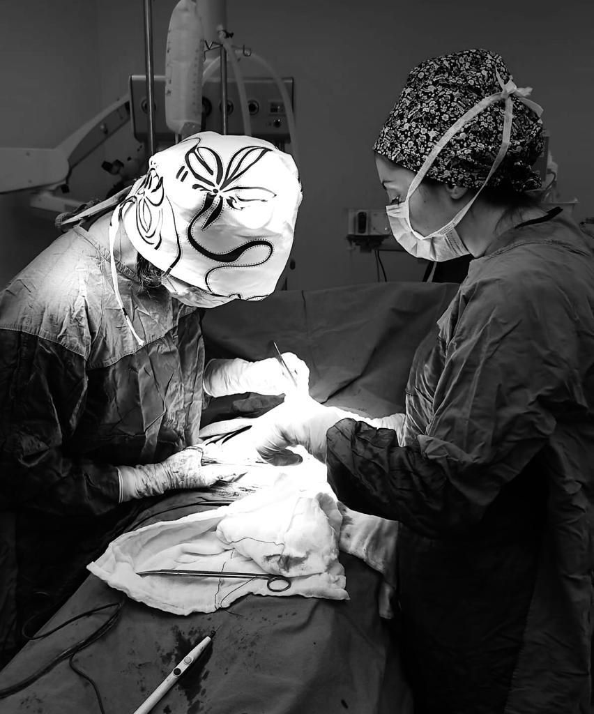 Dilek Turğut Kestane-34