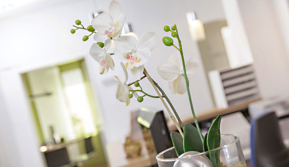 Frank Theodor Lütgen-8