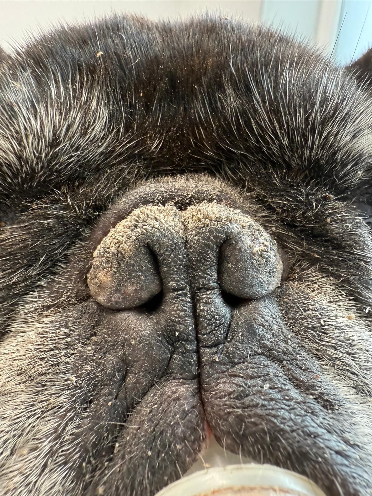 Radosław Fedaczyński-12