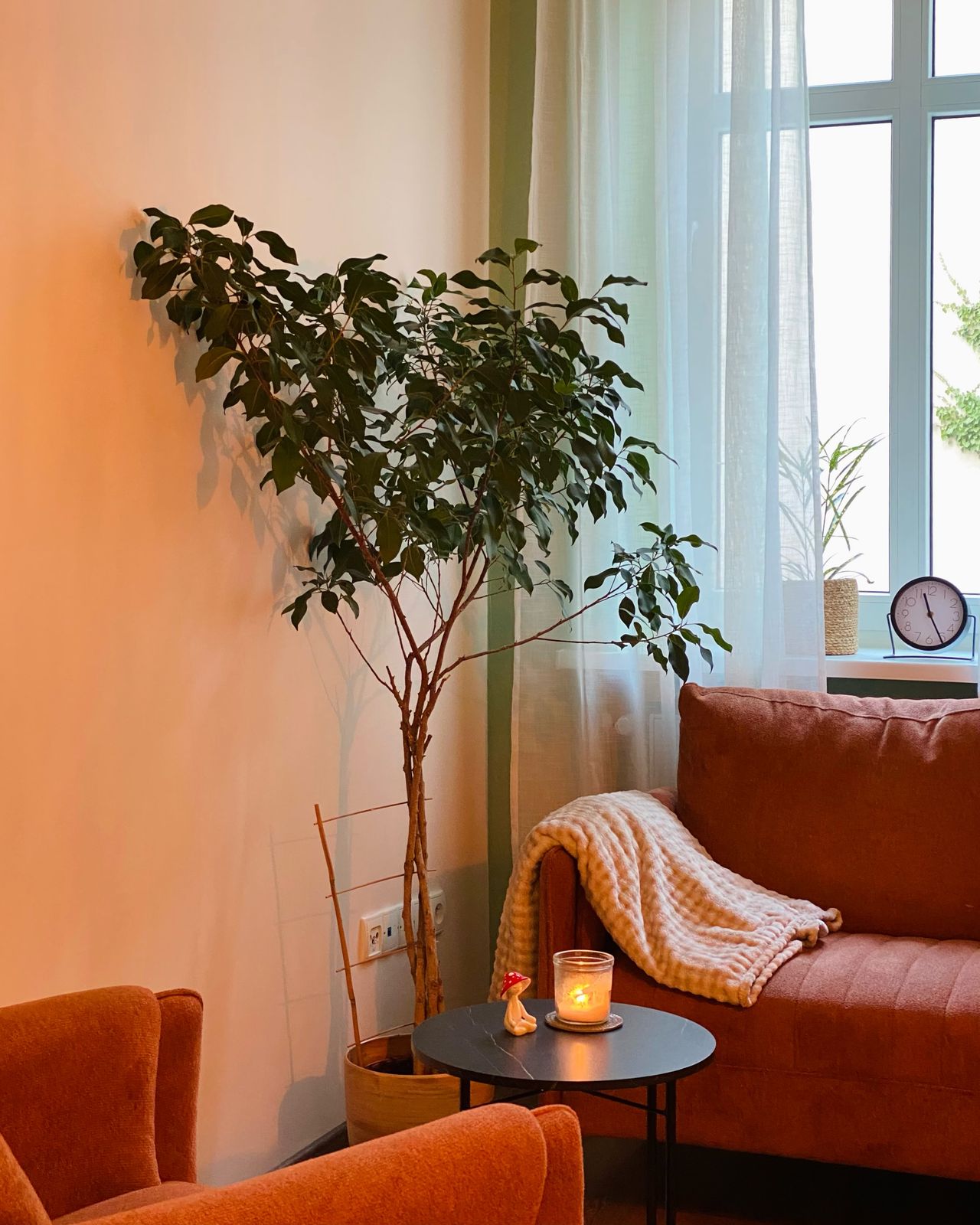 Monika Domska-Brzozowska -2