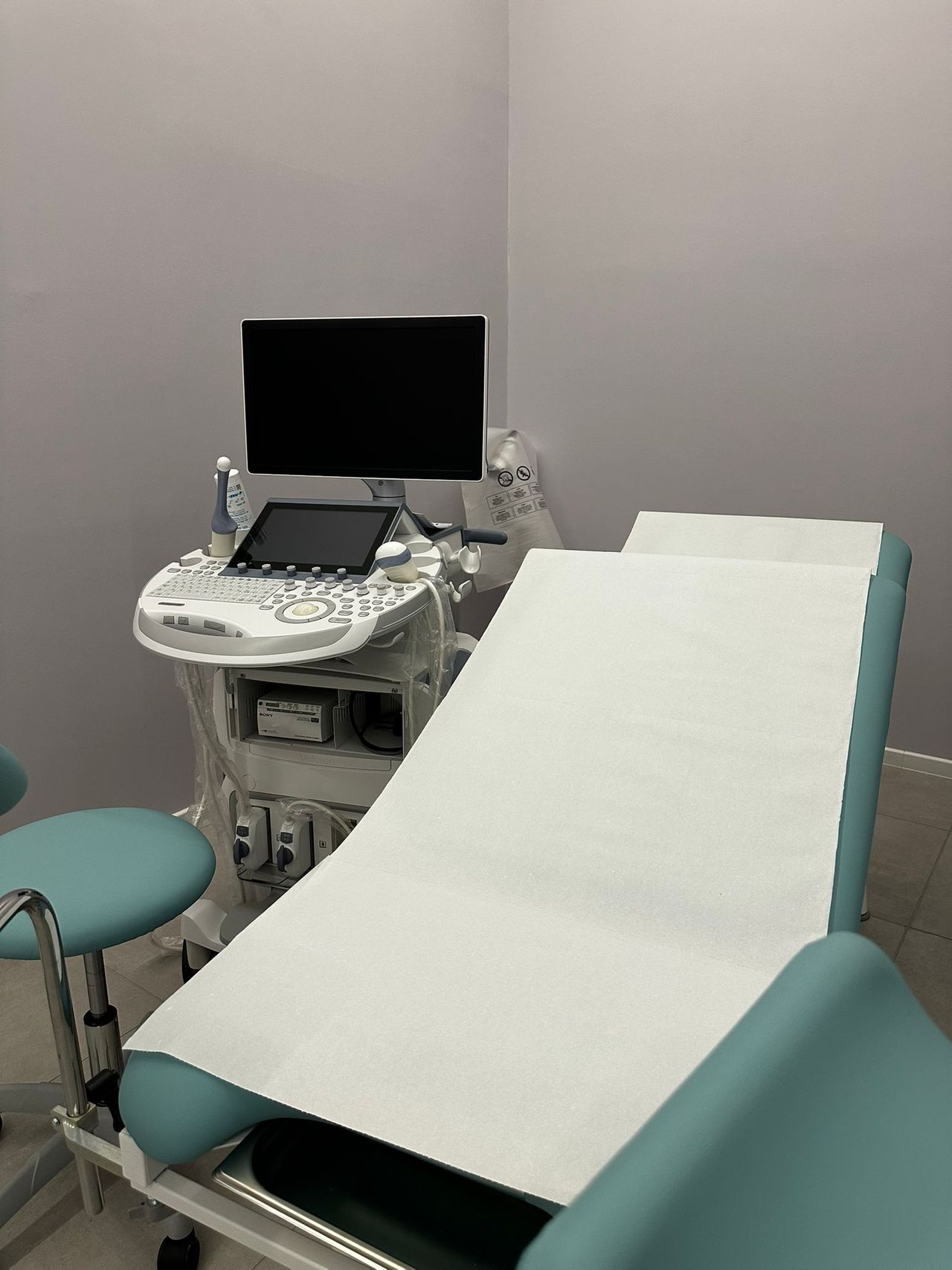 Cecilia Pellegrino-1