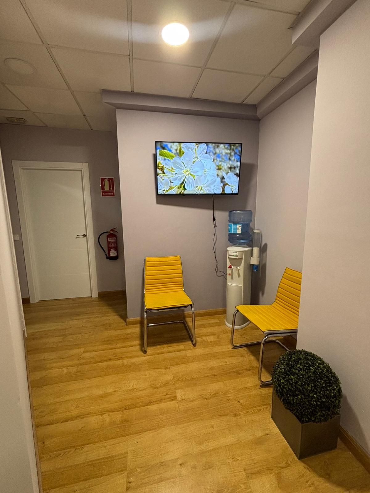 Noelia Mogena Moreno-1