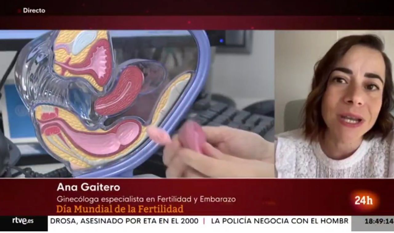 Ana Gaitero Martínez-2