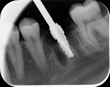 Wojciech Goździewicz-6