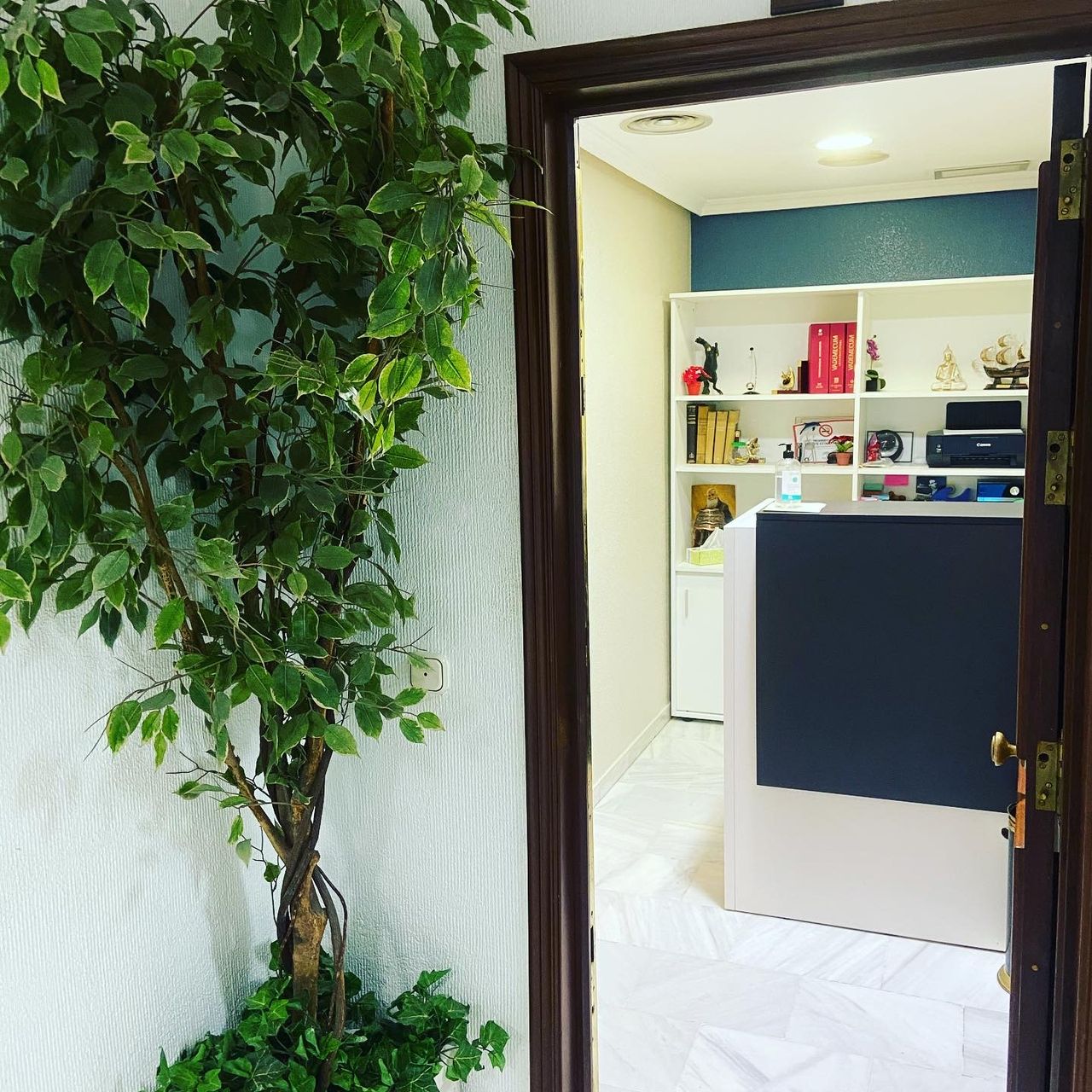 Antonio Sanmartin Caballero-8