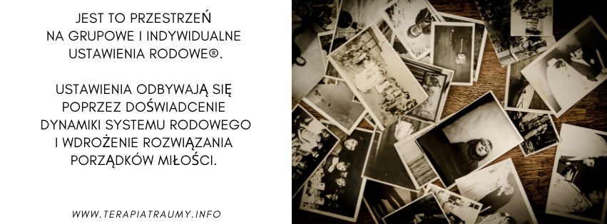 Dorota Trzmielewska-4