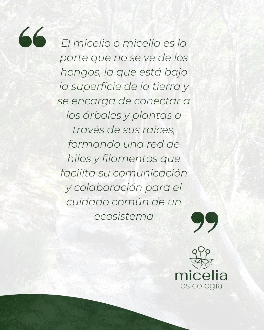 Carolina Martín Vázquez-7