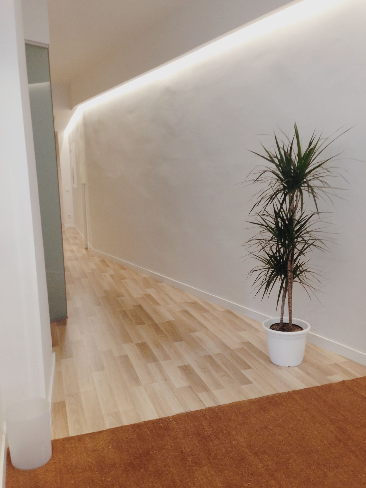 Olga San Martino Pomés-0