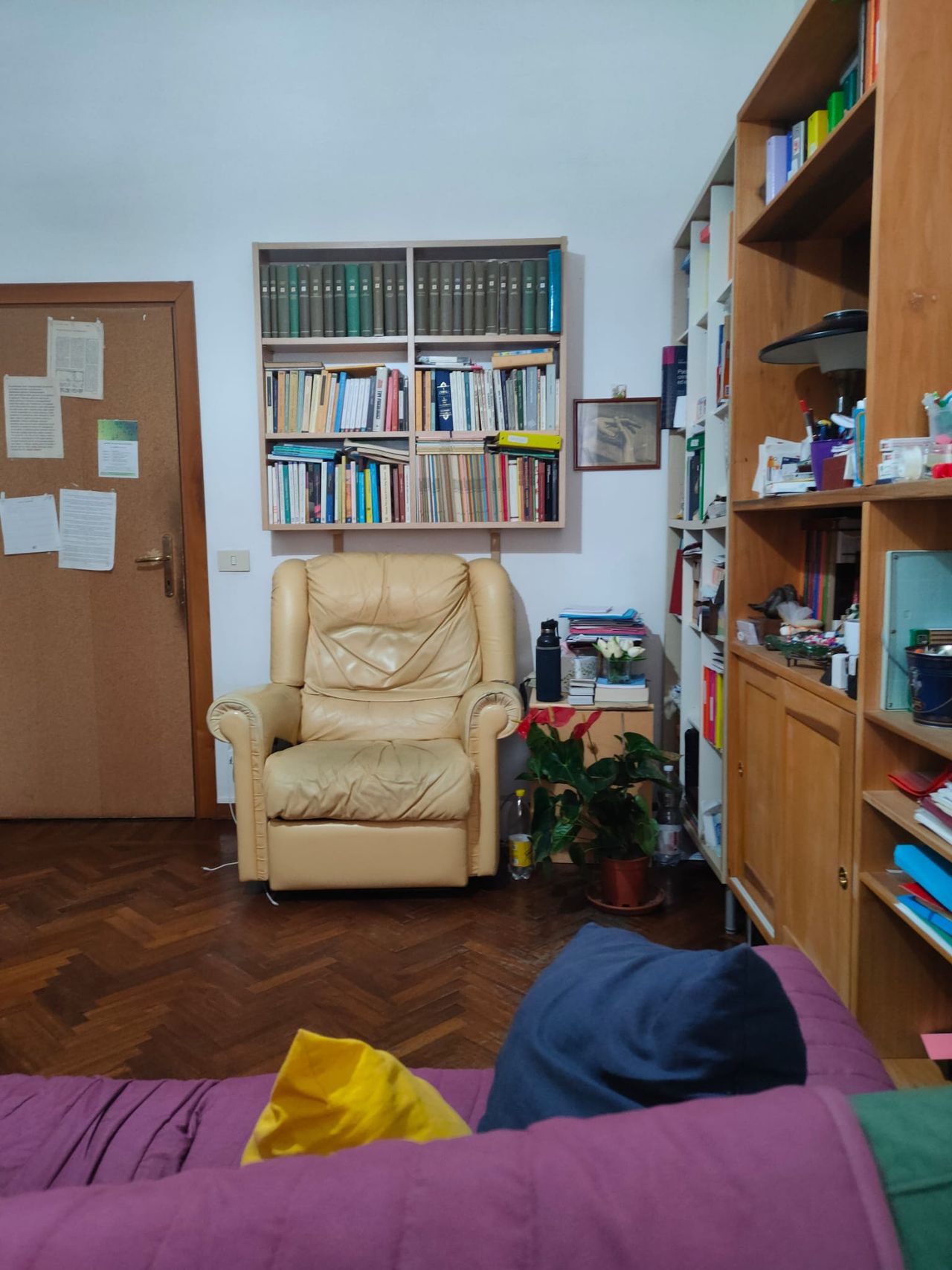 Federigo Bruno Innocenti-0